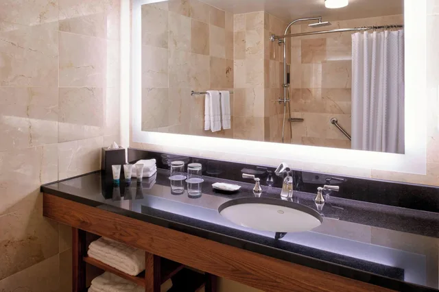غرفة بسرير كينج لذوي الإعاقة، The Westin Detroit Metropolitan Airport 3/4