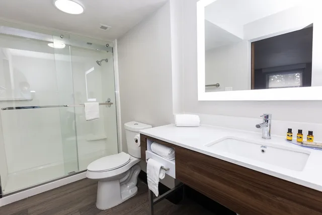 غرفة قياسية بسرير كينج، Bhagat Hotels Stone Mountain Atlanta BW Signature Collection 3/3
