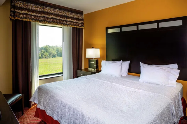 جناح بسرير كينج لذوي الإعاقة، Hampton Inn Limerick-Philadelphia Area 1/3