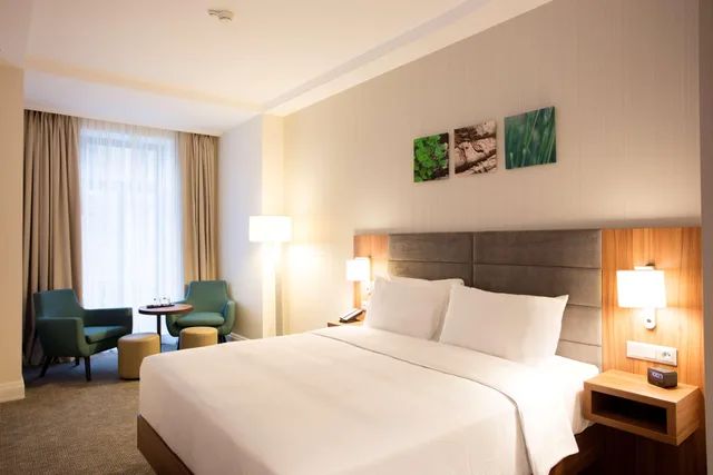 غرفة ديلوكس بسرير مزدوج، Hilton Garden Inn Bucharest Old Town 1/4
