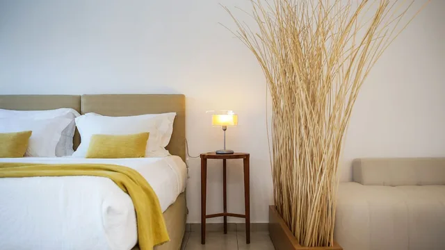 غرفة ديلوكس بسريرين منفصلين بإطلالة على البحر، Pylaia Boutique Hotel 2/10