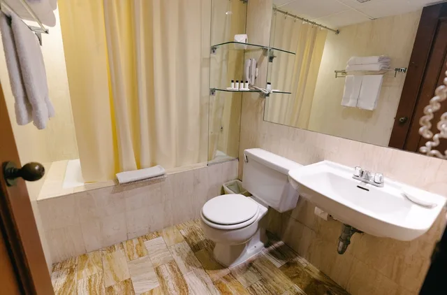City, Twin Beds، Bth Hotel Lima Golf Ex Libertador Lima 7/8