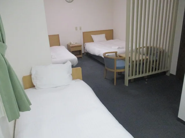 غرفة قياسية ثلاثية بثلاثة أسرّة، Hotel Green Well 1/5