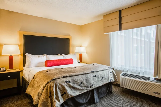 جناح بسرير كينج مع أريكة، Cambria Hotel Minneapolis Maple Grove 3/3