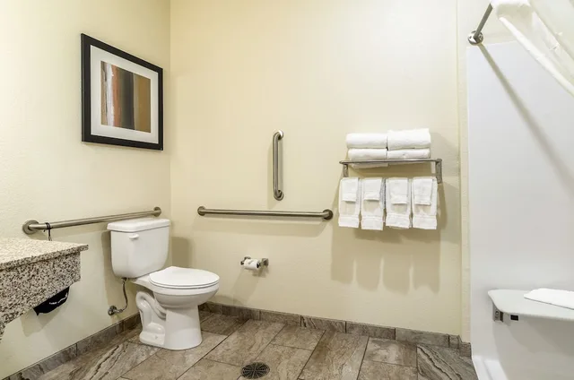 Room, King Bed, Accessible, Cobblestone Hotel & Suites - Paxton 10/12