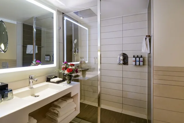غرفة متصلة بريميوم سوبيريور عائلية بسريرين مزدوجين، Pullman Paris Centre Bercy 6/6