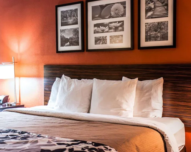 جناح بسرير كينج، Sleep Inn Suites Fort Campbell 1/4