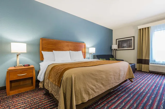 Room, King Bed, Accessible, Comfort Inn Alton near I-255 1/4