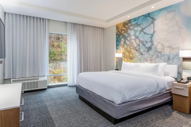 استوديو بسريرين كوين، Courtyard by Marriott Asheville Biltmore Village 2/6