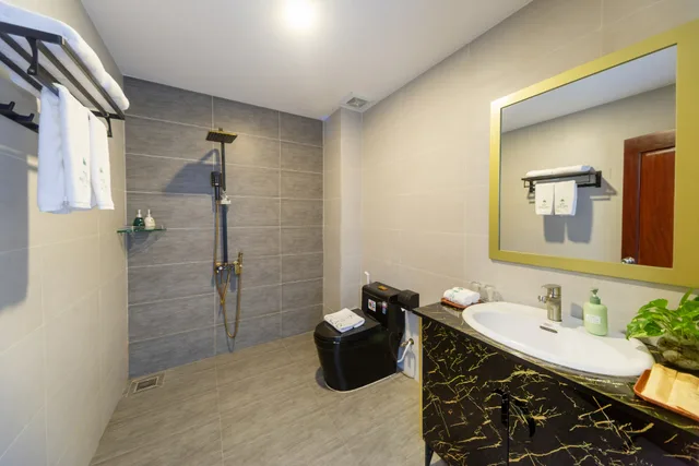 غرفة قياسية بإطلالة على المدينة، The Palms Hotel 4/4