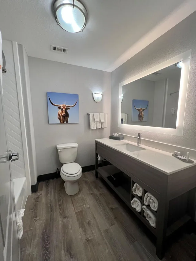 غرفة بسرير كينج وسرير كوين بحوض استحمام لذوي الإعاقة، La Quinta Inn & Suites by Wyndham Big Spring 5/5