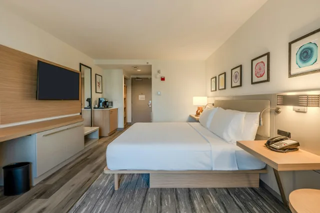 غرفة بسرير كينج مع أريكة، Hilton Garden Inn Ft. Lauderdale Airport-Cruise Port 6/8
