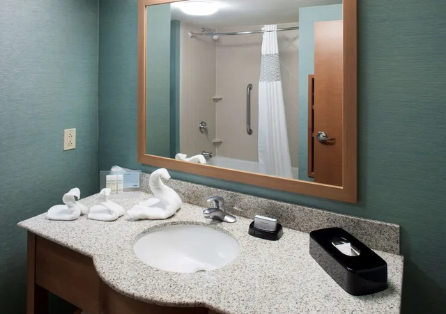 غرفة قياسية بسرير كينج لذوي الإعاقة، Hampton Inn Suites St Louis At Forest Park Mo 5/5