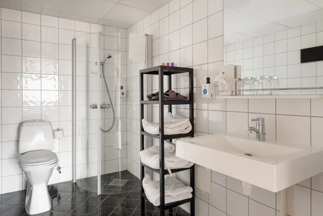 غرفة ديلوكس بسريرين منفصلين بشرفة مع أريكة، Quality Hotel Strand Gjovik 6/6
