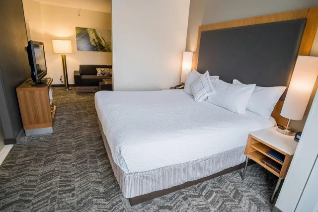 جناح بسرير كينج مع سرير سحّاب إضافي مع أريكة لذوي الإعاقة، Springhill Suites Winston Salem Hanes Mall 1/5