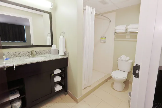 جناح بسرير كينج لذوي الإعاقة، Holiday Inn Express Suites Pittsburgh West Green Tree 4/4
