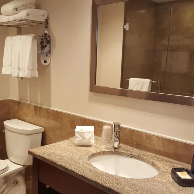 جناح تنفيذي، LIC Manhattan View Hotel 6/10