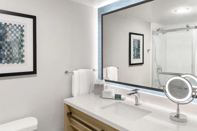Junior Suite, King Bed, Court View, Sofa, Accessible، Doubletree By Hilton South Bend 4/6