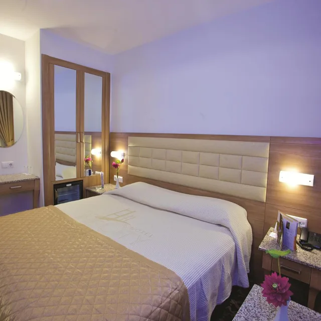 غرفة قياسية بسرير مزدوج أو سريرين منفصلين، The City Hotel 4/5