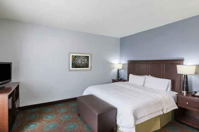 غرفة بسرير كينج، Hampton Inn & Suites Shreveport/Bossier City at Airline Drive 1/3