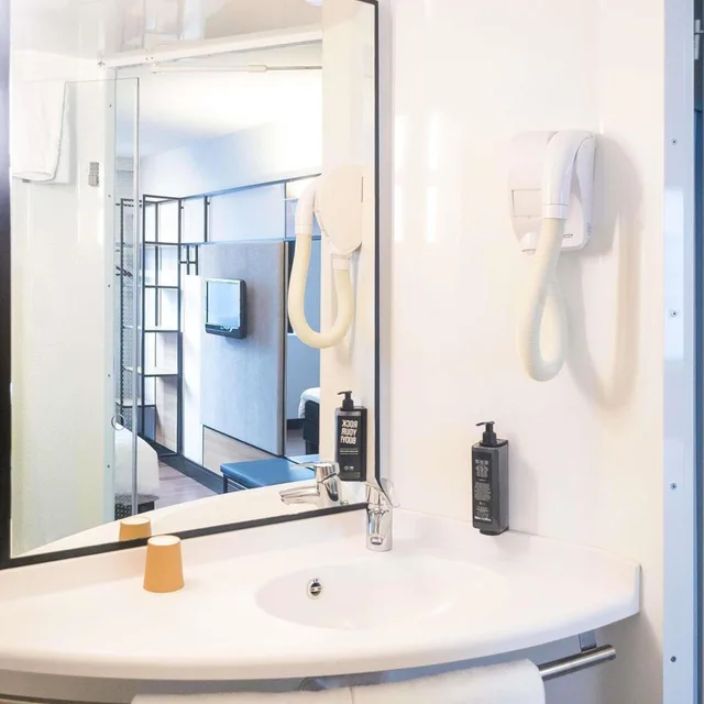 Standard, Single Bed, Ibis Paris Cdg Airport 6/9