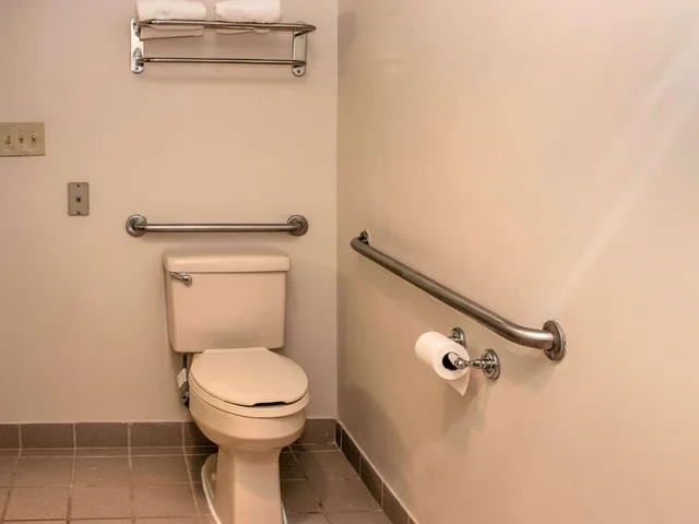غرفة بسرير كينج لذوي الإعاقة، Quality Suites Lake Wright Norfolk Airport 4/4