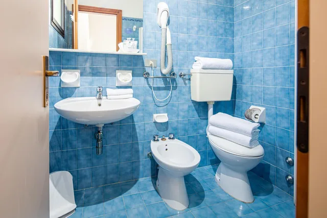 Economy, Double or Twin Bed, Astor Hotel 4/4