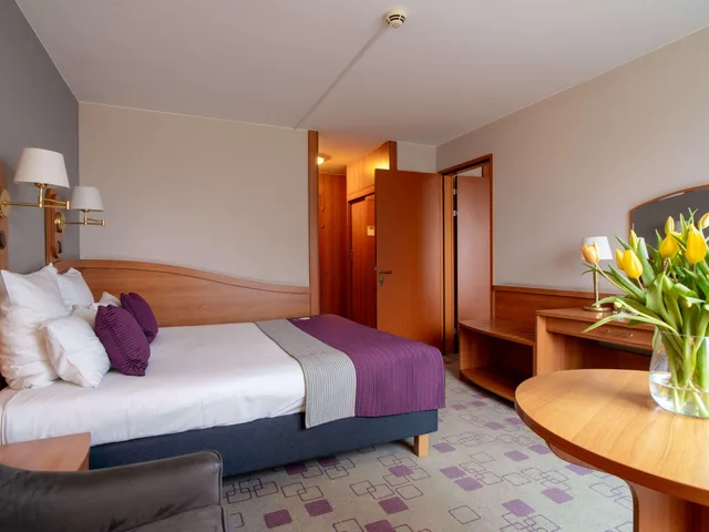 Room, Queen Bed, Mercure Cieszyn 6/10