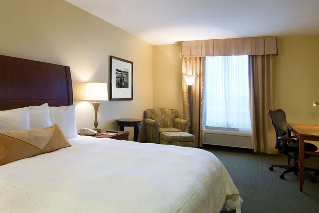 Evolution, King Bed, Hilton Garden Inn Seattle North-Everett 3/9