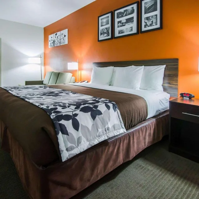 جناح ديلوكس، Sleep Inn & Suites And Conference Center Downtown 1/5