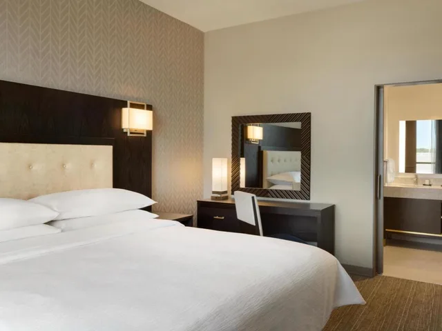 جناح بسرير كينج بغرفة نوم واحدة مع أريكة لذوي الإعاقة، Embassy Suites by Hilton Syracuse Destiny USA 2/4