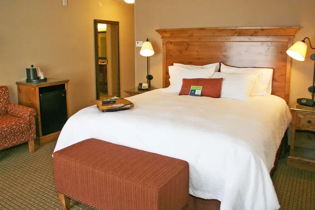 Study, King Bed، Hampton Inn & Suites Buffalo 1/2