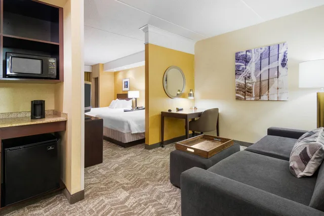 جناح بسرير كوين مع أريكة لذوي الإعاقة، Springhill Suites By Marriott Wheeling Tridelphia Area 2/9