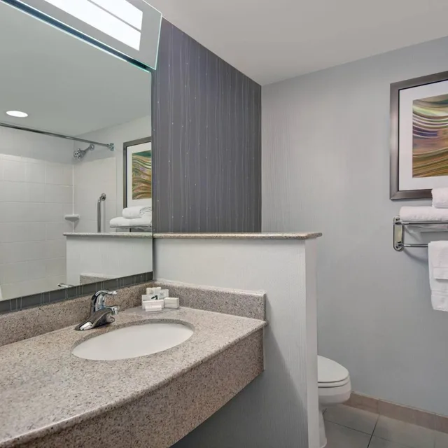 غرفة بسرير كينج بحوض استحمام لذوي الإعاقة، Courtyard Boston Raynham 3/3