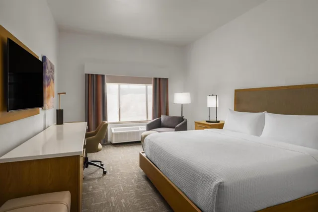 Room, King Bed, Sofa, Working Area, Accessible، Holiday Inn Express Hotel And Suites Houston Downtown Convention Center 1/3