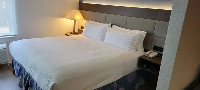 غرفة قياسية كبيرة بسرير كينج مع أريكة، Best Western Sycamore Inn 2/4