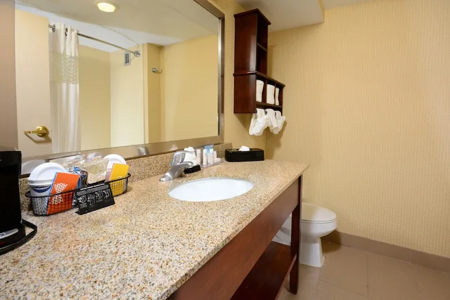 جناح بسرير كينج بغرفة نوم واحدة مع أريكة، Hampton Inn Raleigh-Capital Blvd. North 1/1
