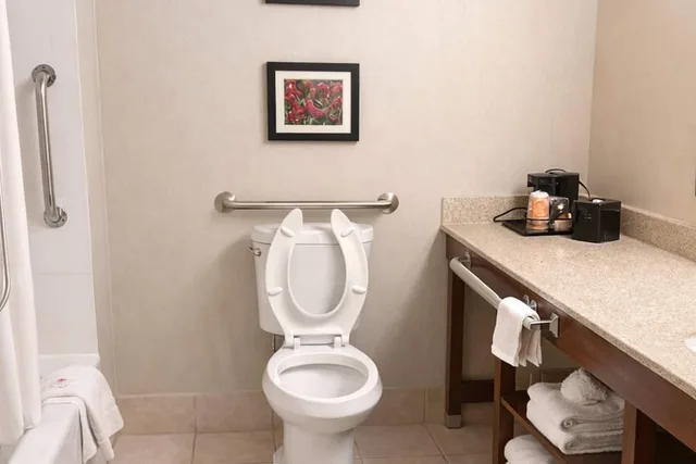 Room, King Bed, Accessible, Comfort Inn Farmington Hills - Detroit Northwest 6/6