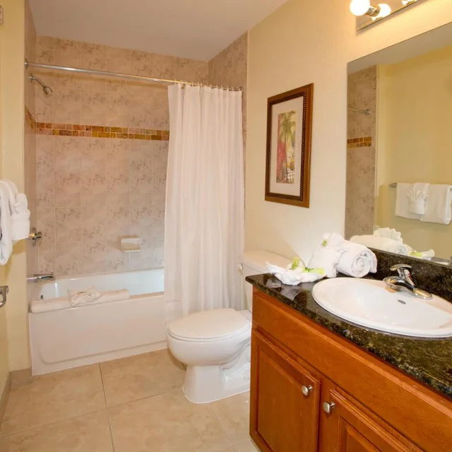 2 Bedrooms, Suite, Fireworks View، Lake Buena Vista Resort Village and Spa 9/10