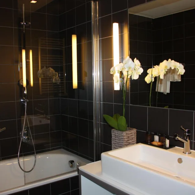 Deluxe, Double Bed, Balcony, Hotel De La Source 4/4
