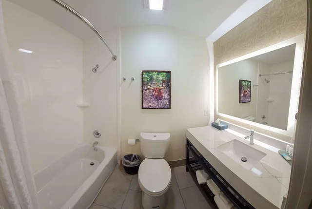 جناح بسريرين كوين، La Quinta Inn & Suites by Wyndham Dallas Mesquite 4/4
