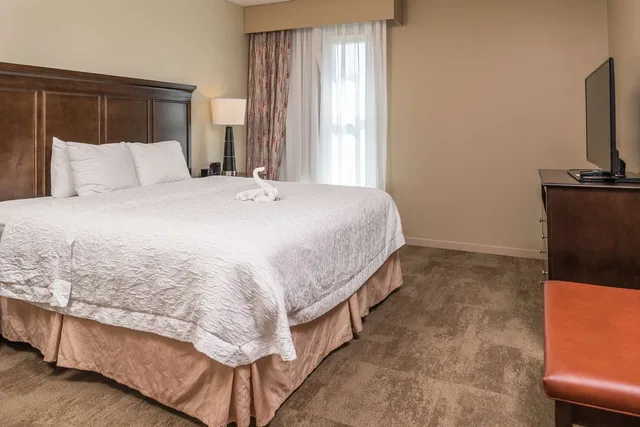 جناح بسرير كينج بمطبخ، Hampton Inn & Suites Charlotte-Arrowood 1/3