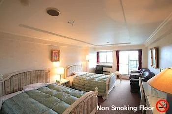 غرفة سوبيريور بسريرين منفصلين، Hotel Green Hill Otaki 1/1