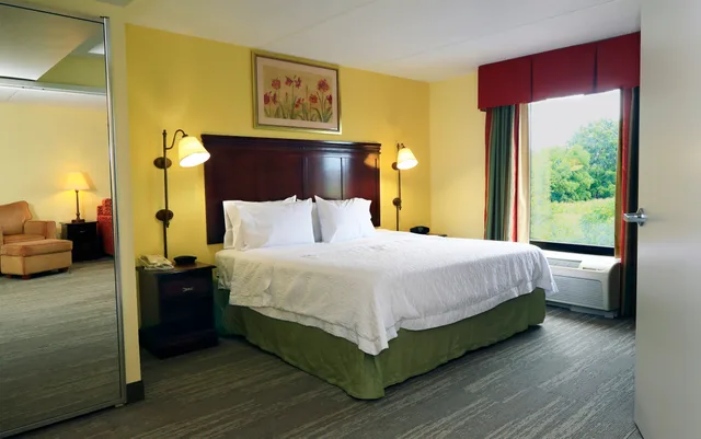 Suite, King Bed, Jetted Tub, Hampton Inn & Suites Lamar 1/4