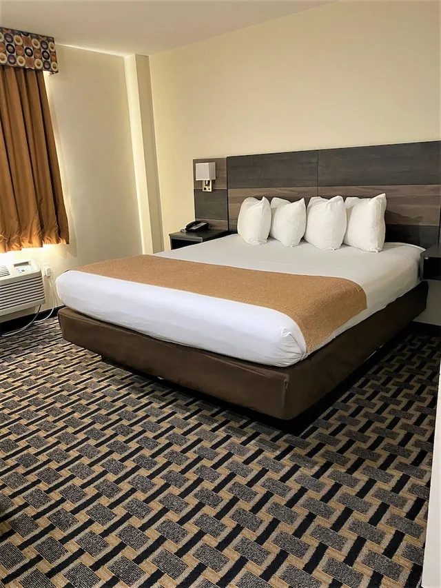 Basic, Single, King Bed, Accessible, Bogart Hotel 1/8
