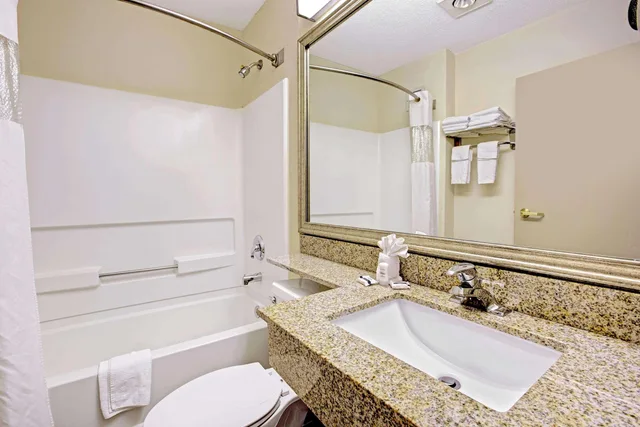 Deluxe, Studio, Suite, King Bed, Microtel Inn & Suites by Wyndham Statesville 6/7
