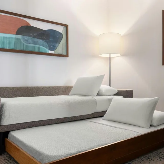 جناح بسرير كينج مع سرير سحّاب إضافي مع أريكة، Springhill Suites Dayton Vandalia 6/10