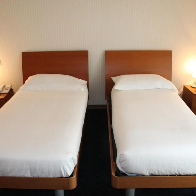 غرفة بسريرين منفصلين، Hotel San Rocco 3/6