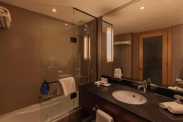 غرفة تنفيذية، Radisson Blu Heliopolis 9/10