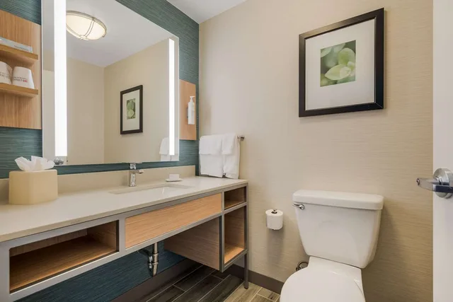 جناح بسرير كينج بغرفة نوم واحدة مع أريكة، Hilton Garden Inn Rockford 3/4